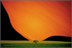 Image description is not available for 2005.017